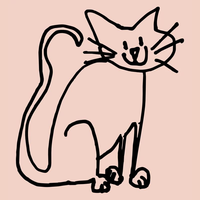 Drôle de chat, Fan de chat