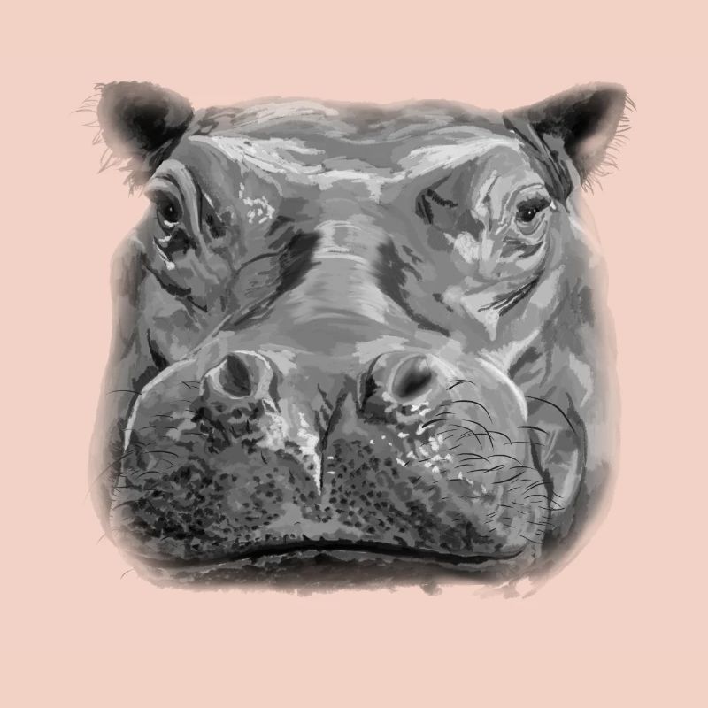 hippo