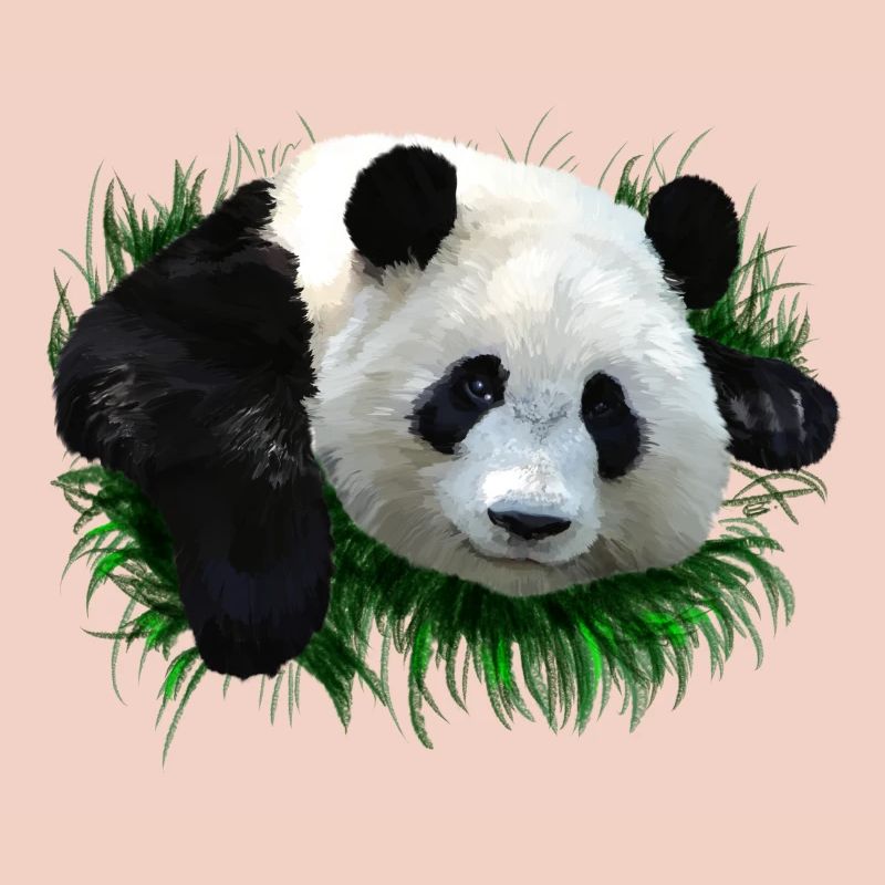 panda