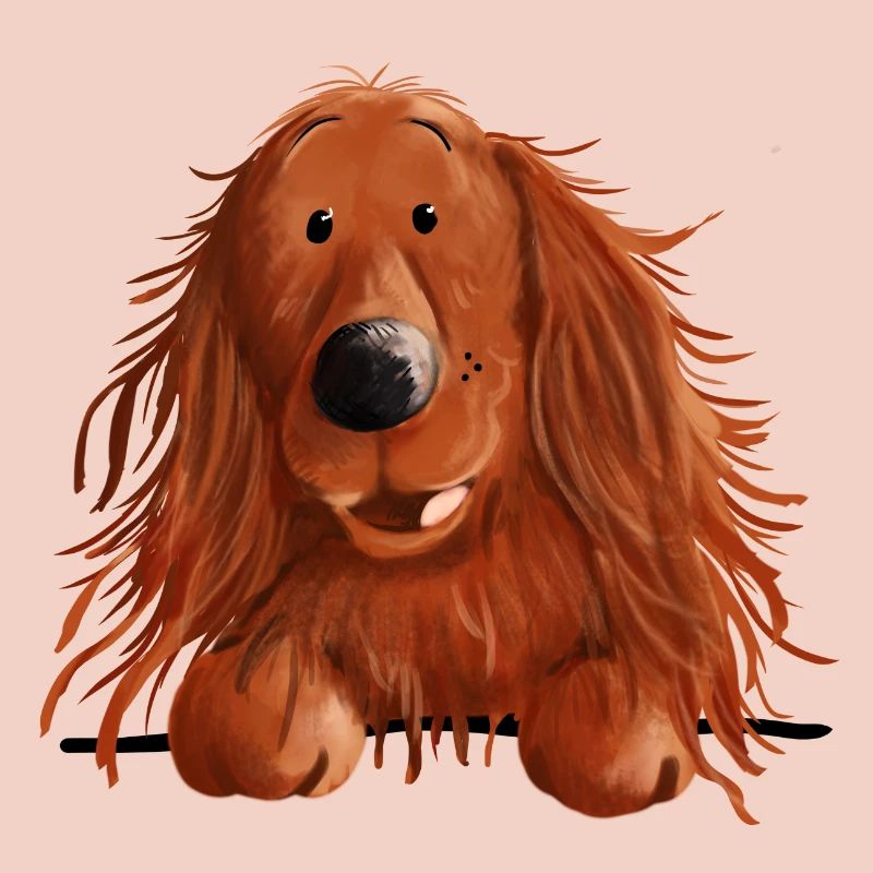 Neugieriger Irish Setter