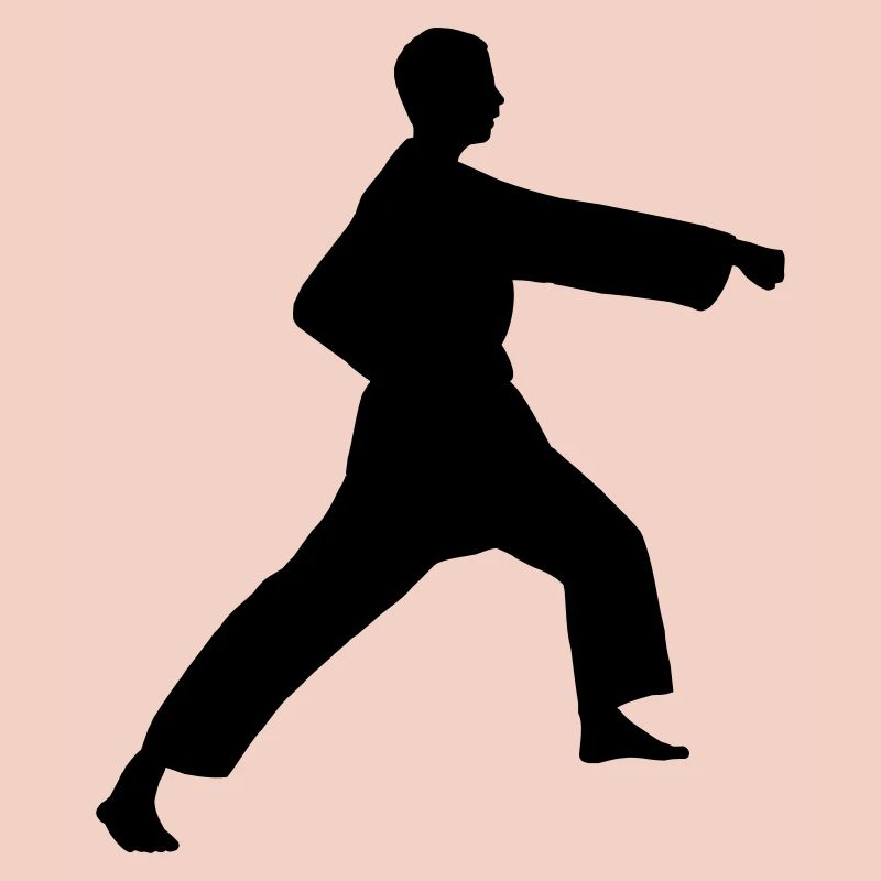 Punch karate or teakwondo punch