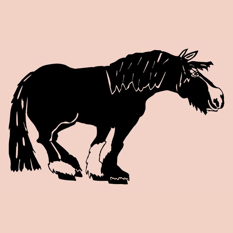 funny Tinker black, Tinker equestrian sport