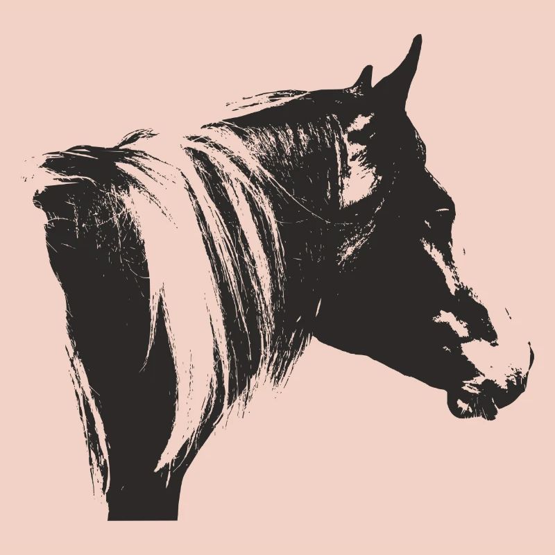 Lewitzer Schecke, Pferd Schecke, Pinto