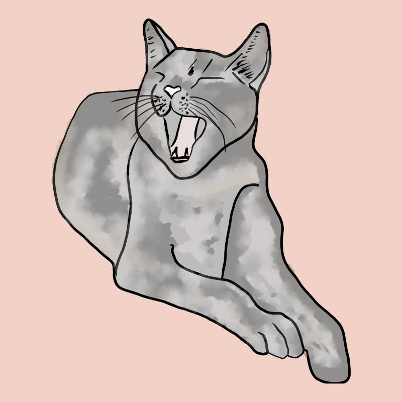 chat