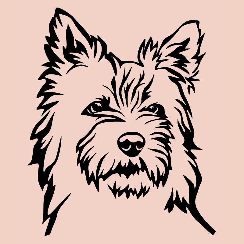 Cairn Terrier