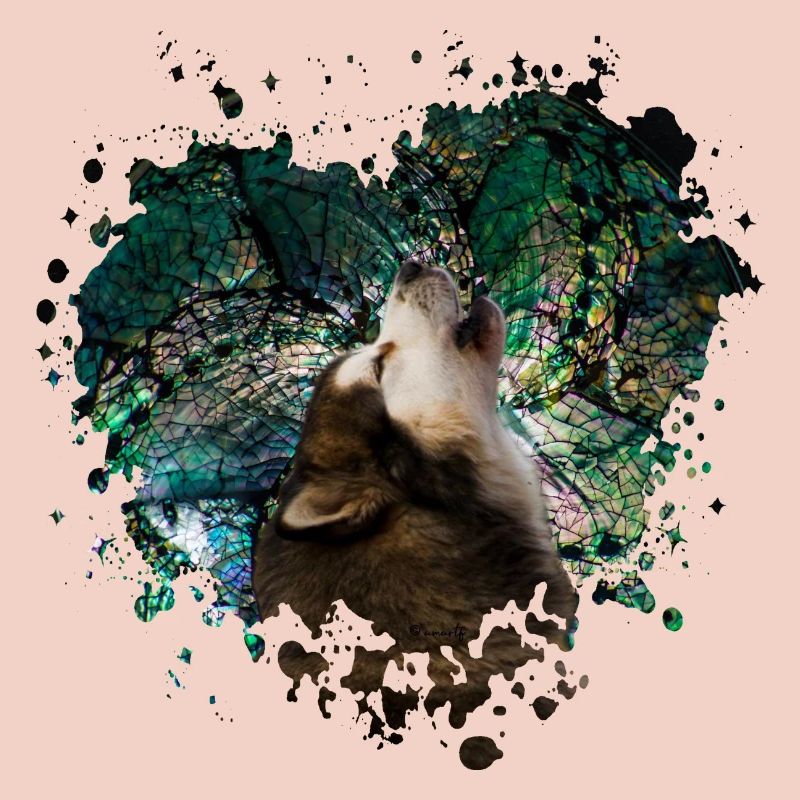 Howling malamute