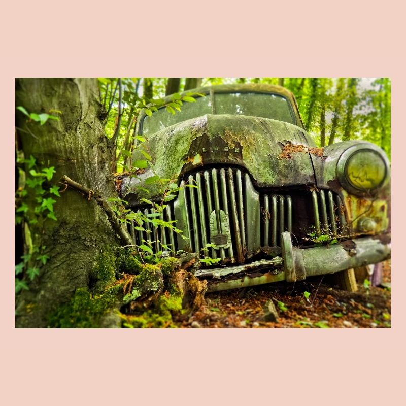 Waldverfall: Rostige Autoüberreste