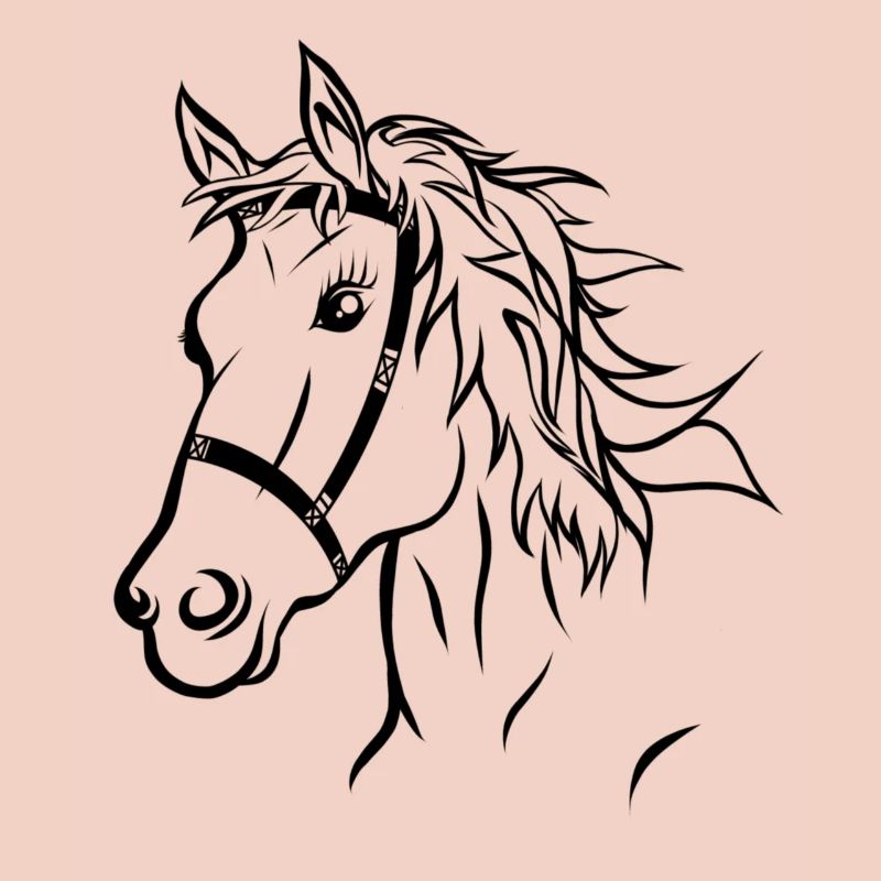 Pferdekopf Pferd Reiten Geschenk