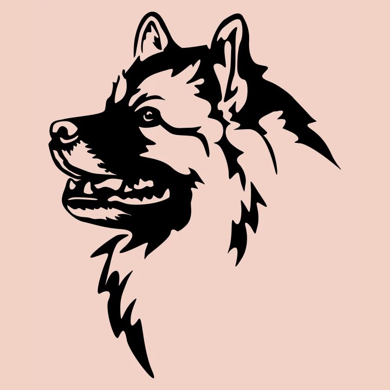 Tête de Wolfsspitz