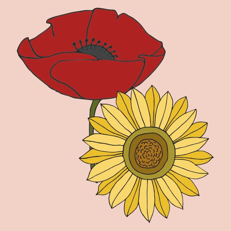 mohn sonnenblume