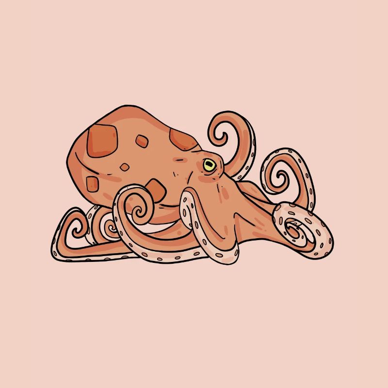 Octopus Octopus