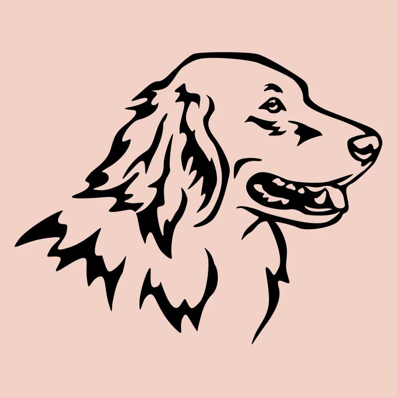 Tête de Hovawart