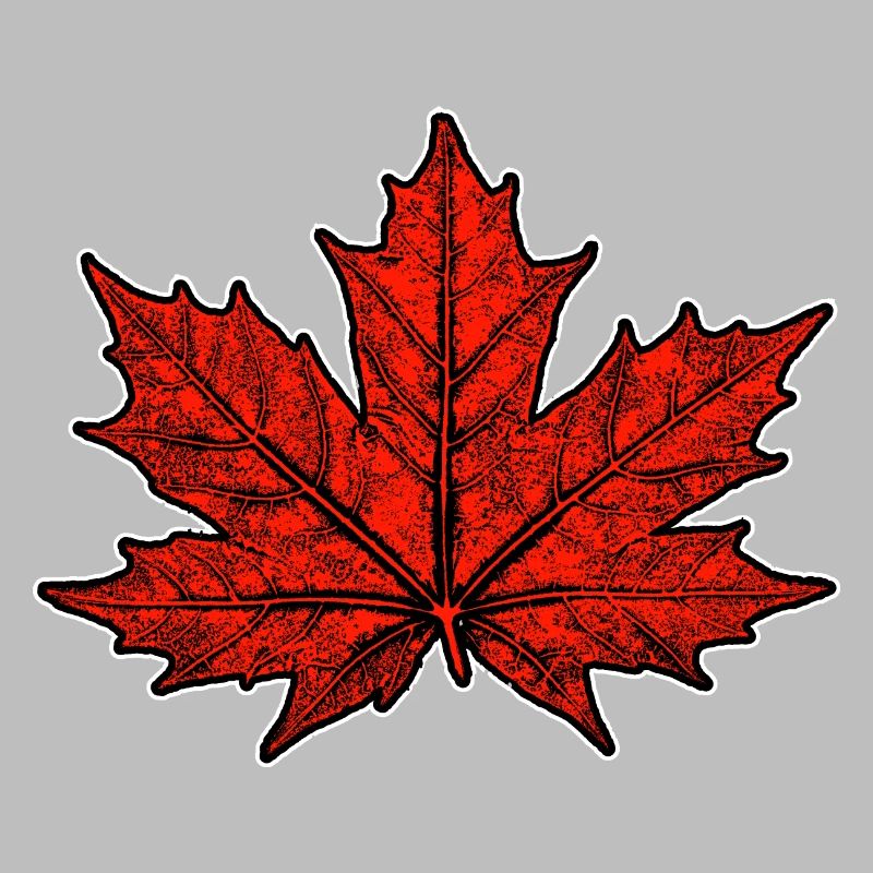 Maple / Leaf