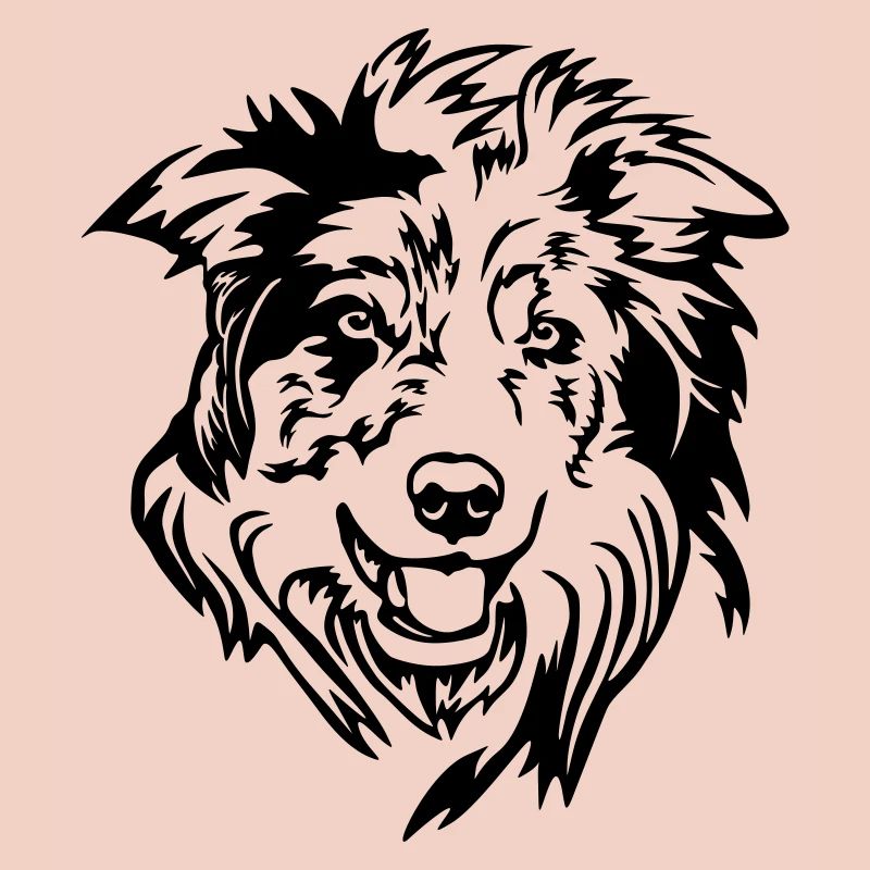 Tête de Border Collie
