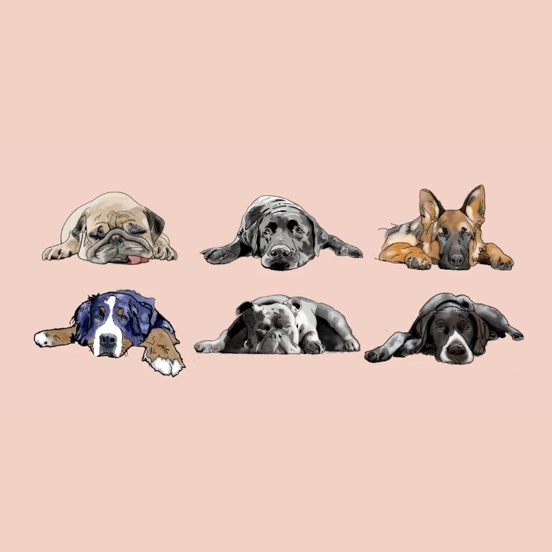 Pug Labrador German Shepherd Bernese Bulldog Pointer