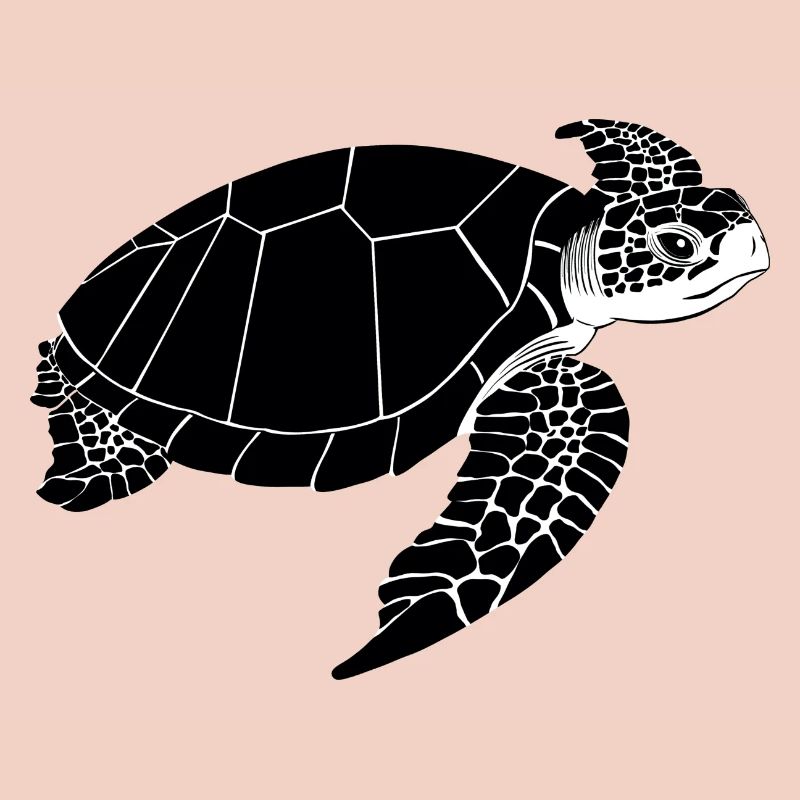 Tortue Noir & Blanc