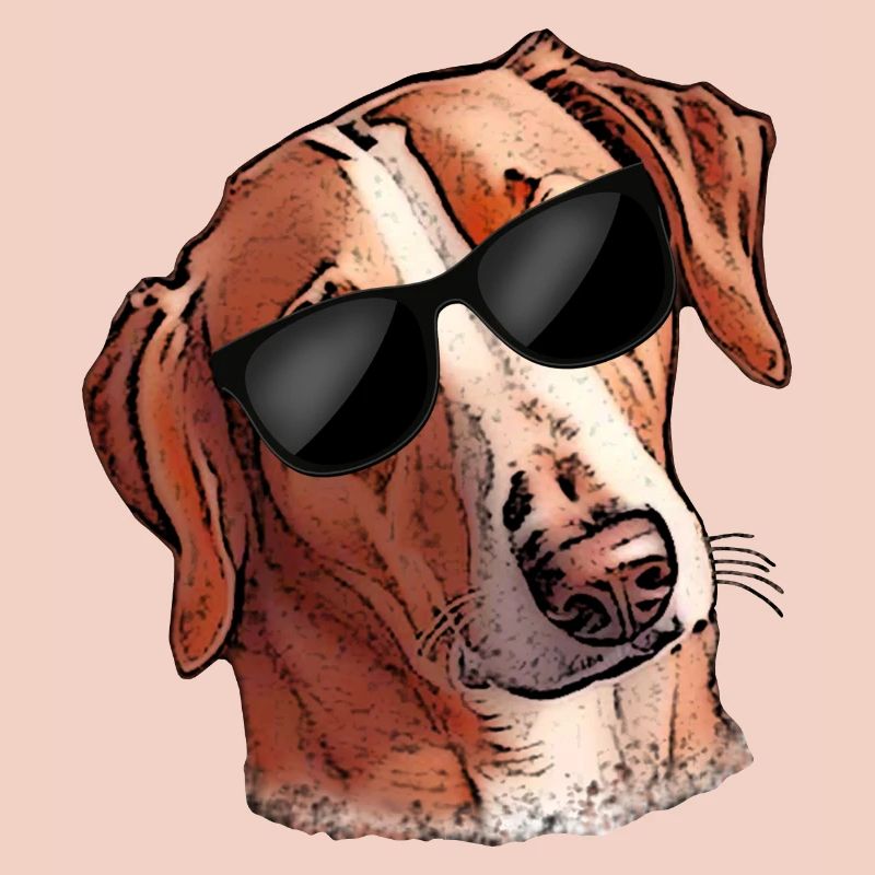 Witziger Hund SAVEBRACKE Jagdhund Sonnenbrille
