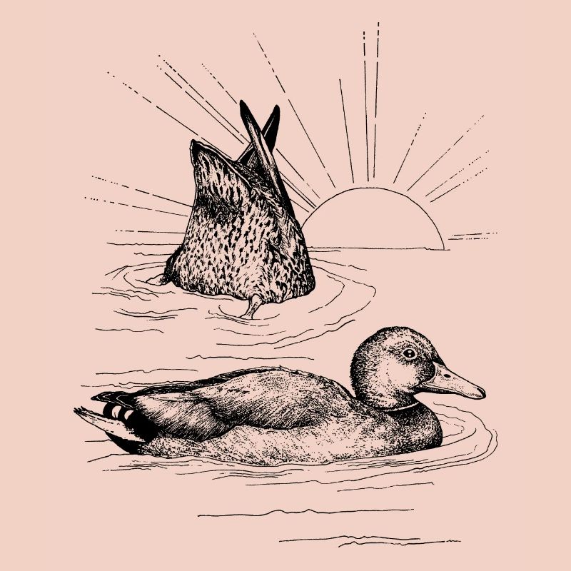 MALLARDS 