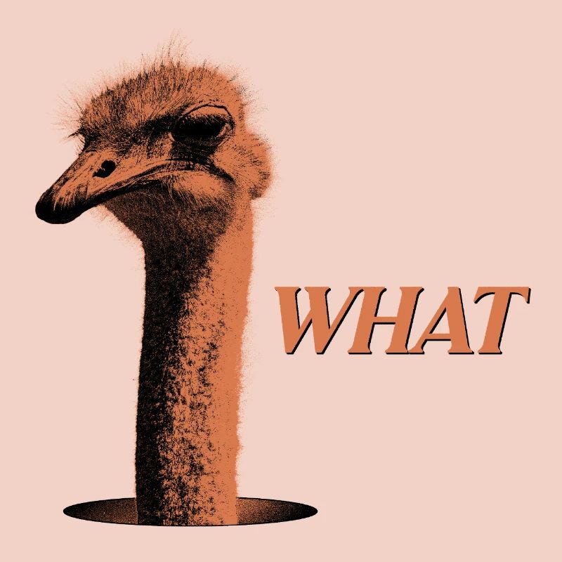 What?! – Grumbling Bouquet