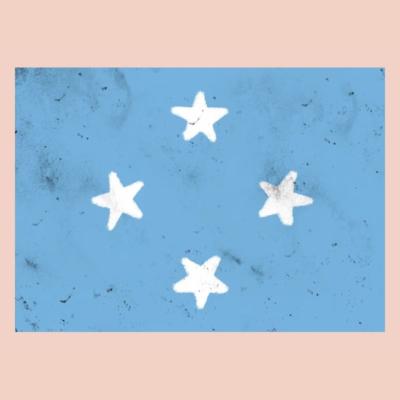 Drapeau de la Micronésie
