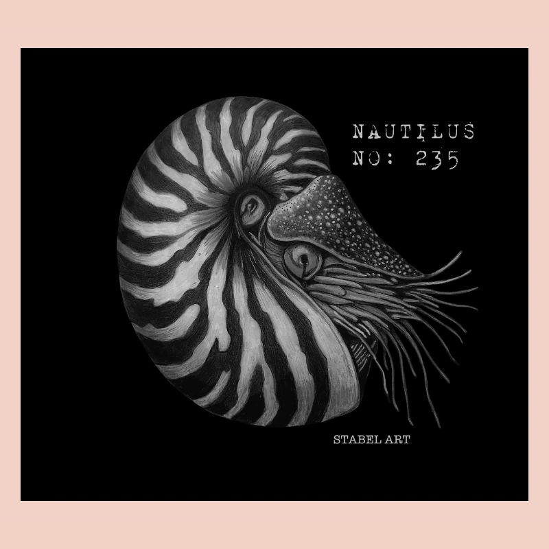 Bateau perlé - Nautilus