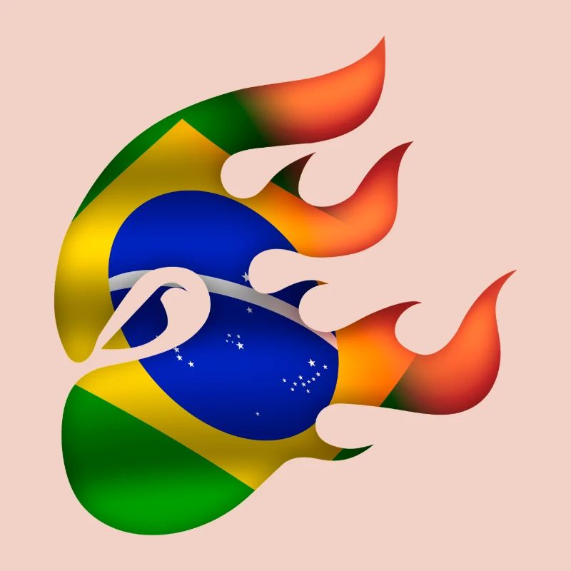 Drapeau du Brésil - Brésil - Ninja