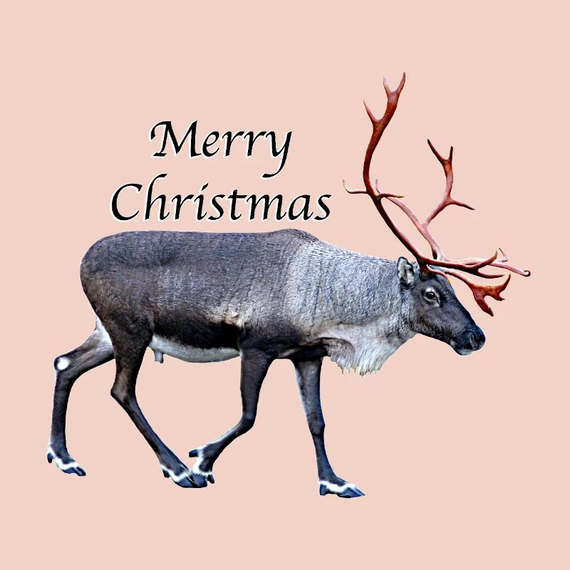 Frohe Weihnachten