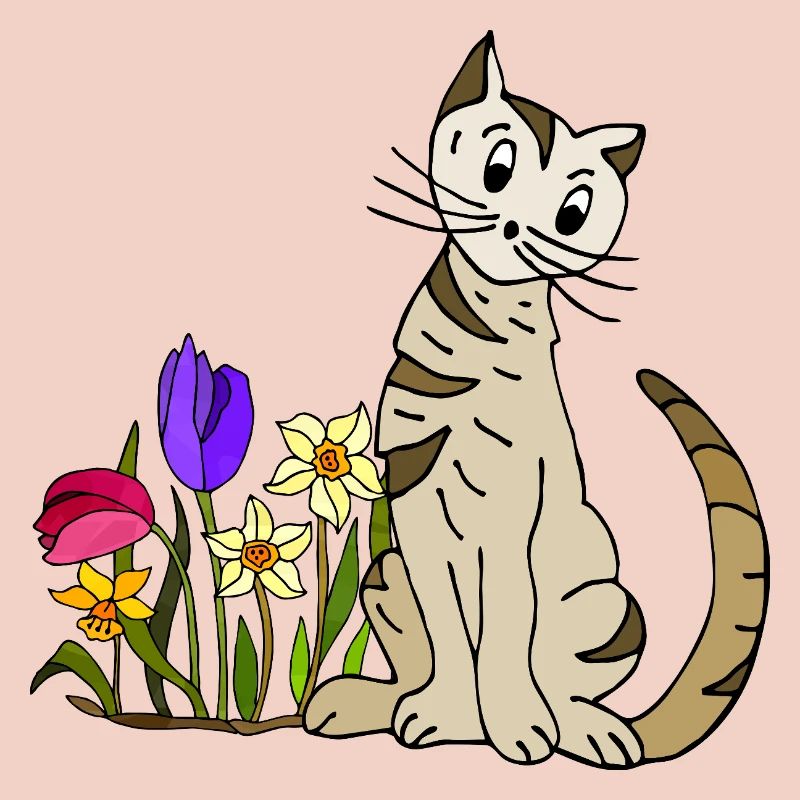 chat