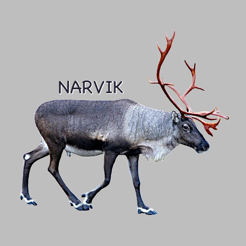 NARVIK