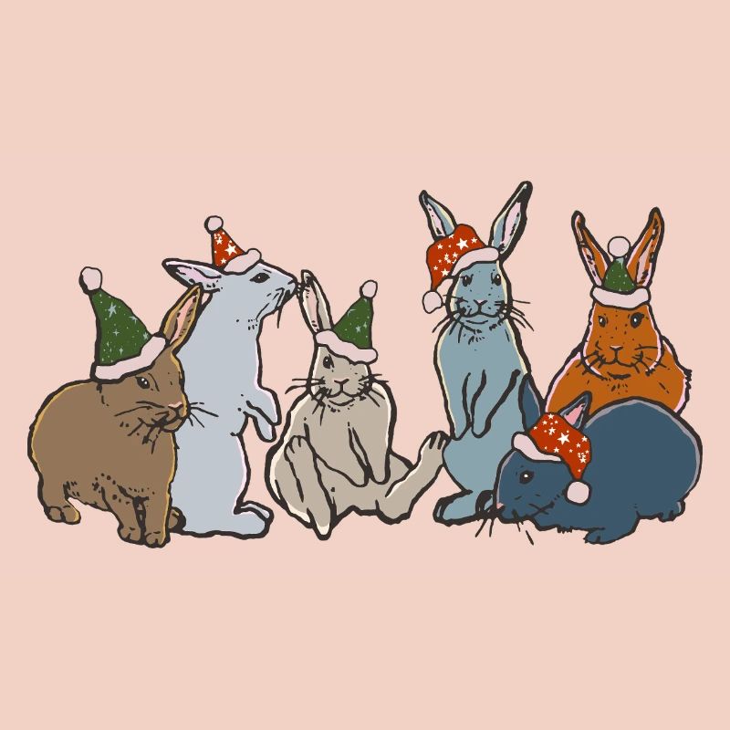 LAPINS DE NOËL