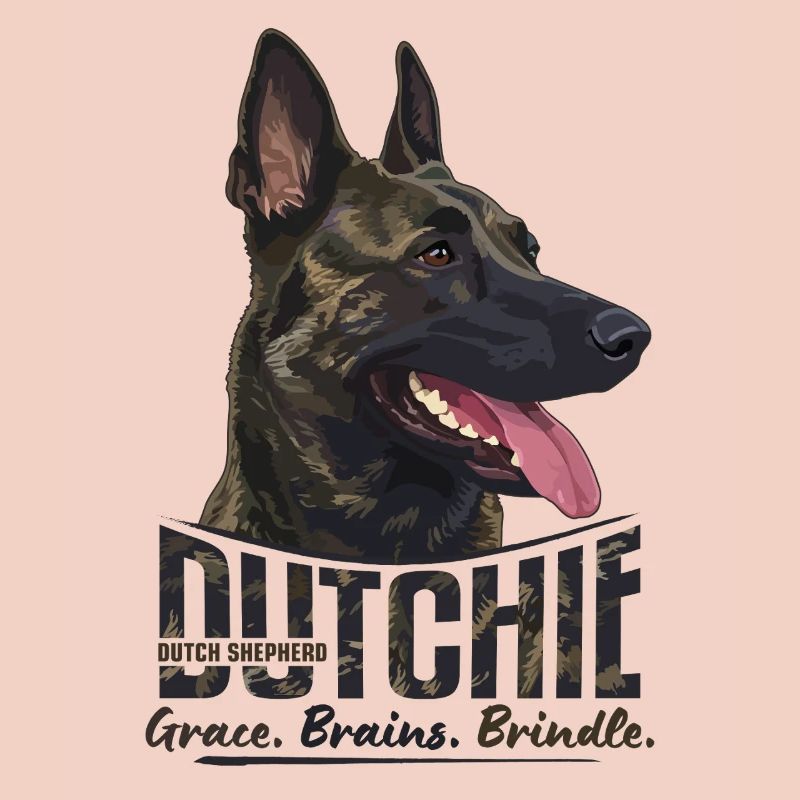 Dutchie - Holländischer Schäferhund