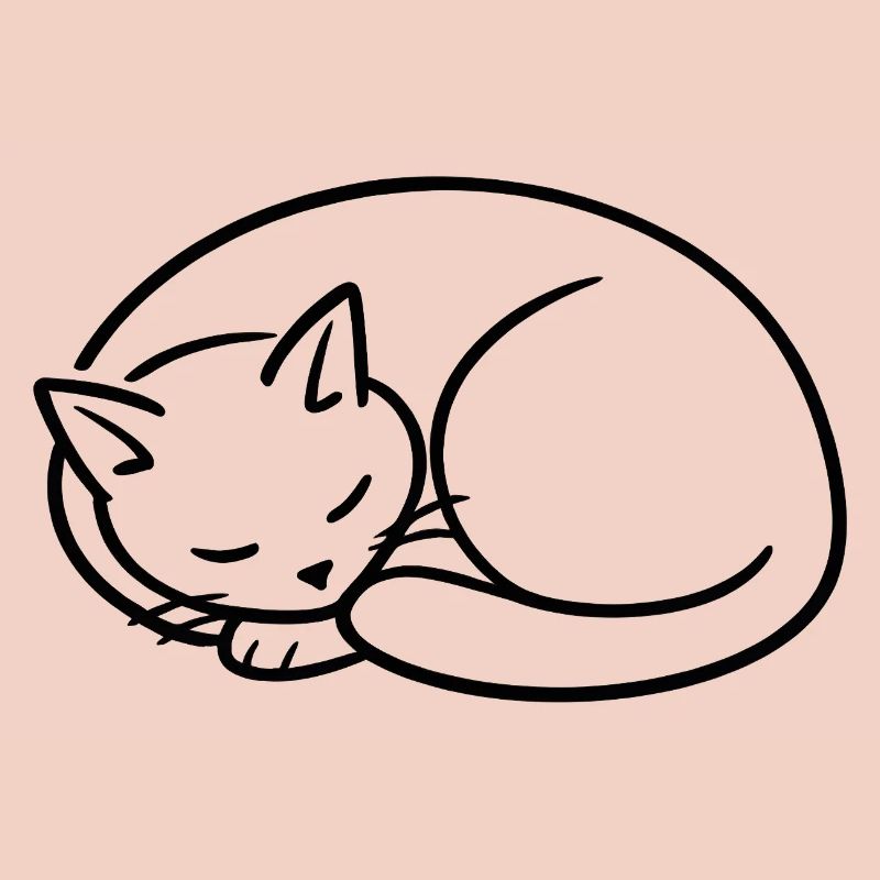 Étude de la lignée du chat endormi