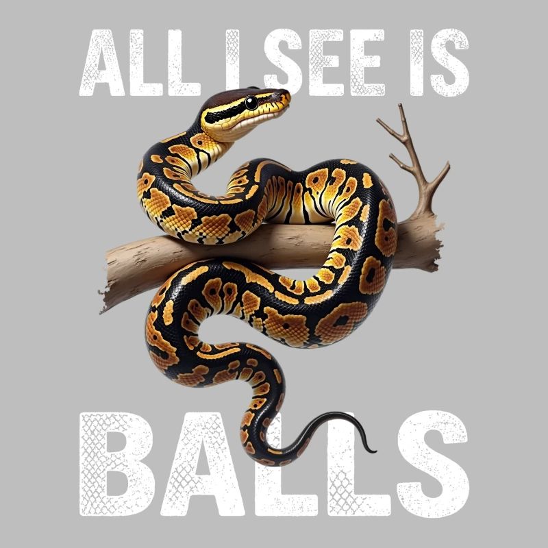 Python roi Serpents Amateurs de terrarium Python