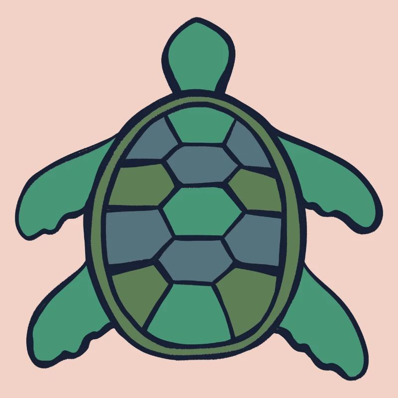 Geometric Shell Turtle