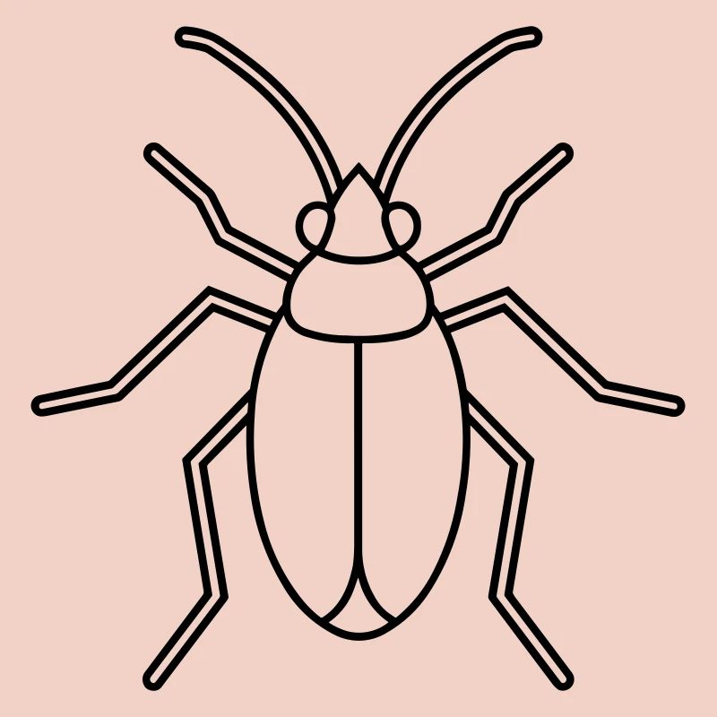 Aphid