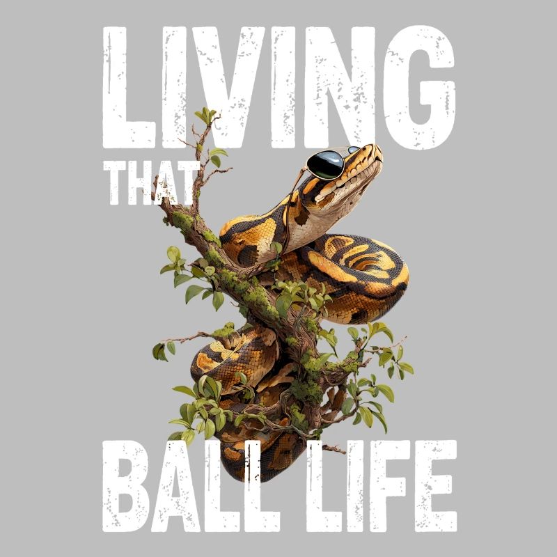 Königspython Schlangen Liebhaber Terrarium Python