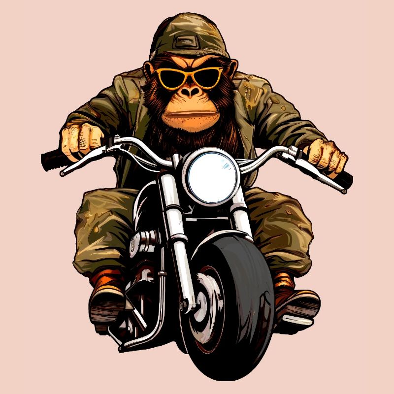 Singes motards