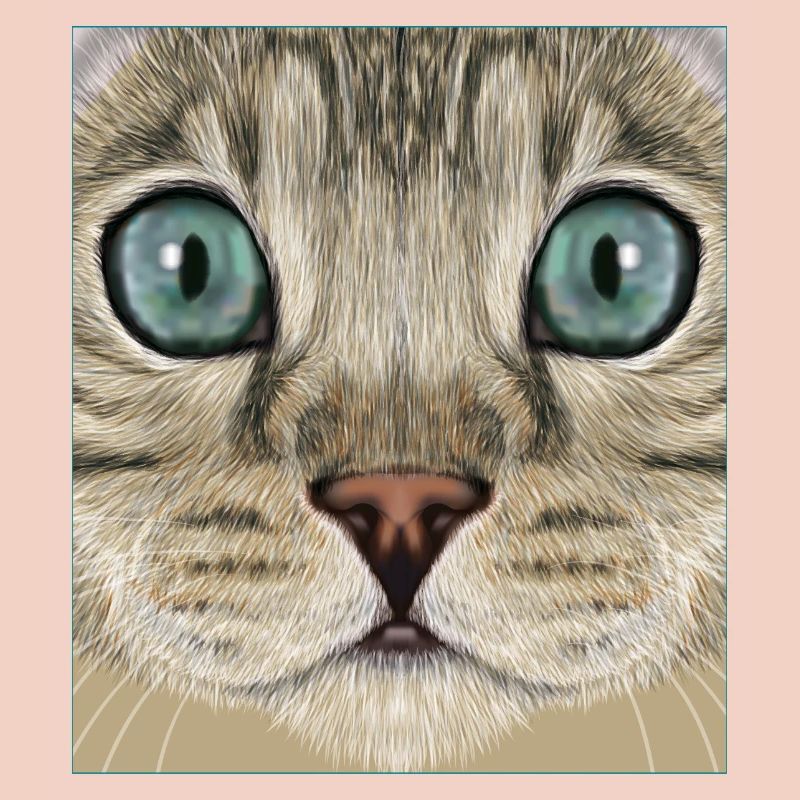 Chat léopard