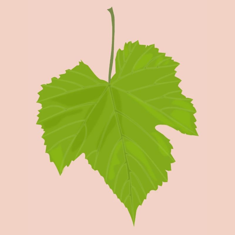 feuille d'érable