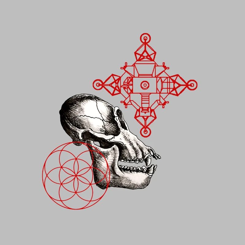 lunar australpithecus