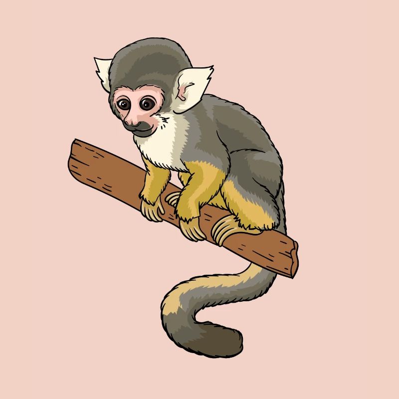 Singe écureuil primate singe écureuil