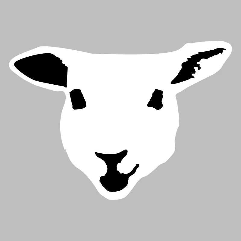 sheep, lamb