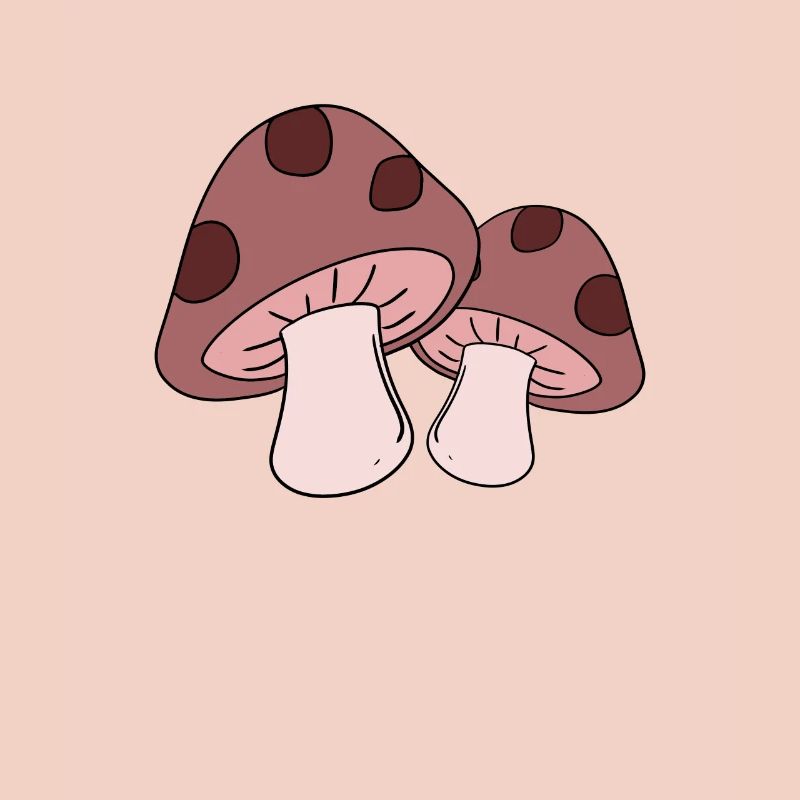 Champignons cueillette champignons
