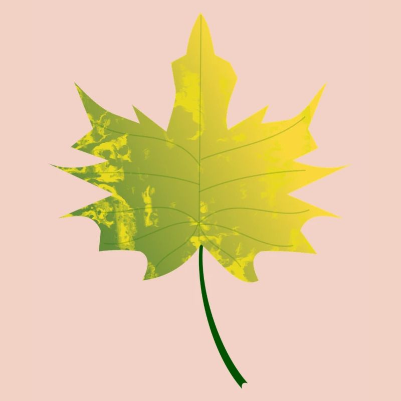 feuille