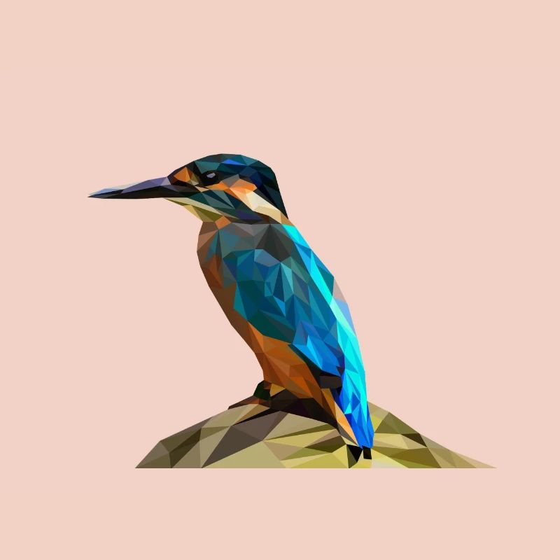 Eisvogel