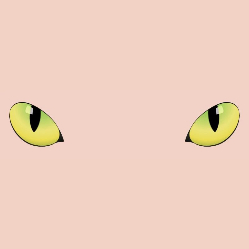 Panther inside