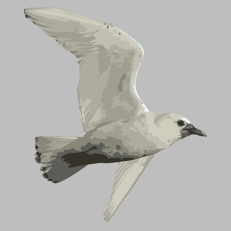 Vogel