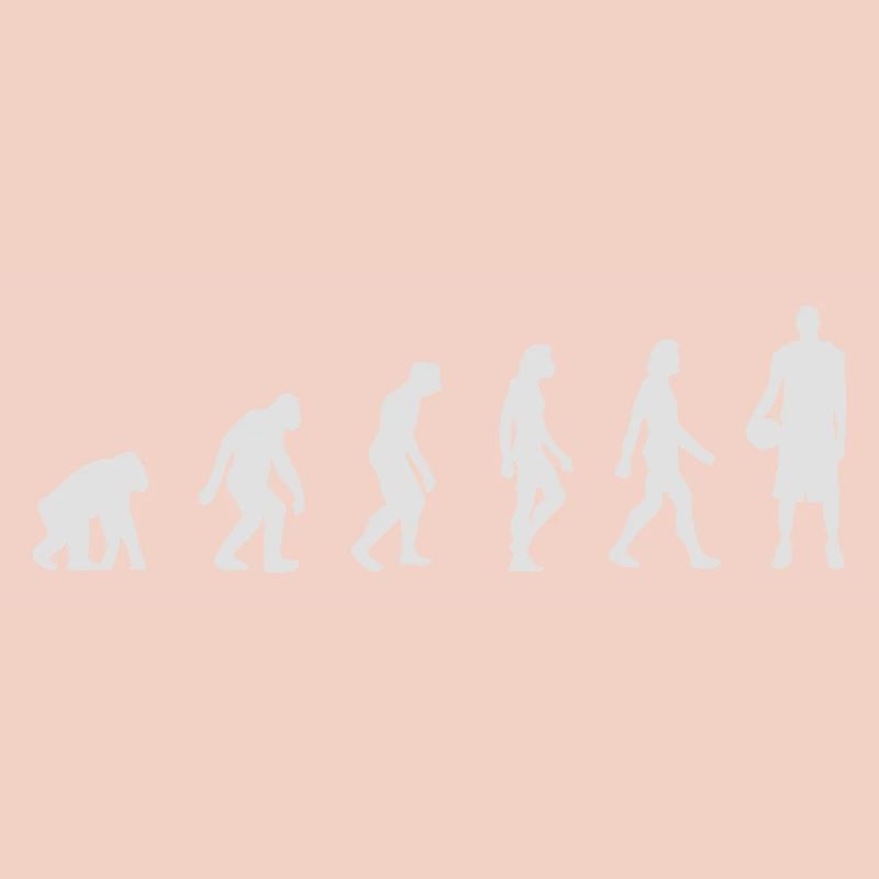 L'évolution du basket-ball