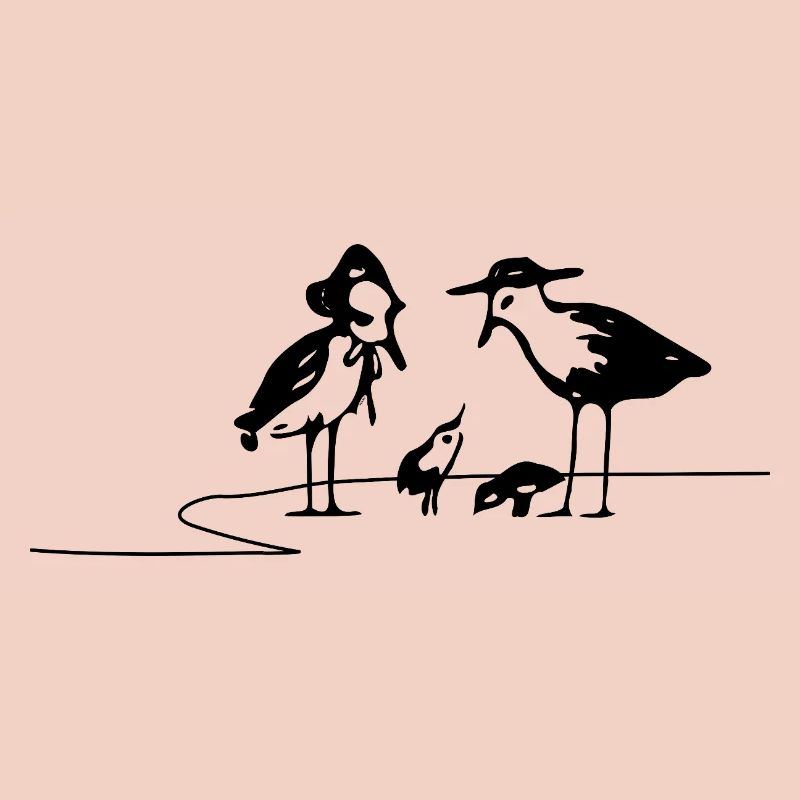 Seagulls
