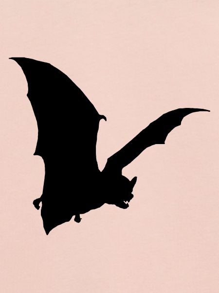 bat